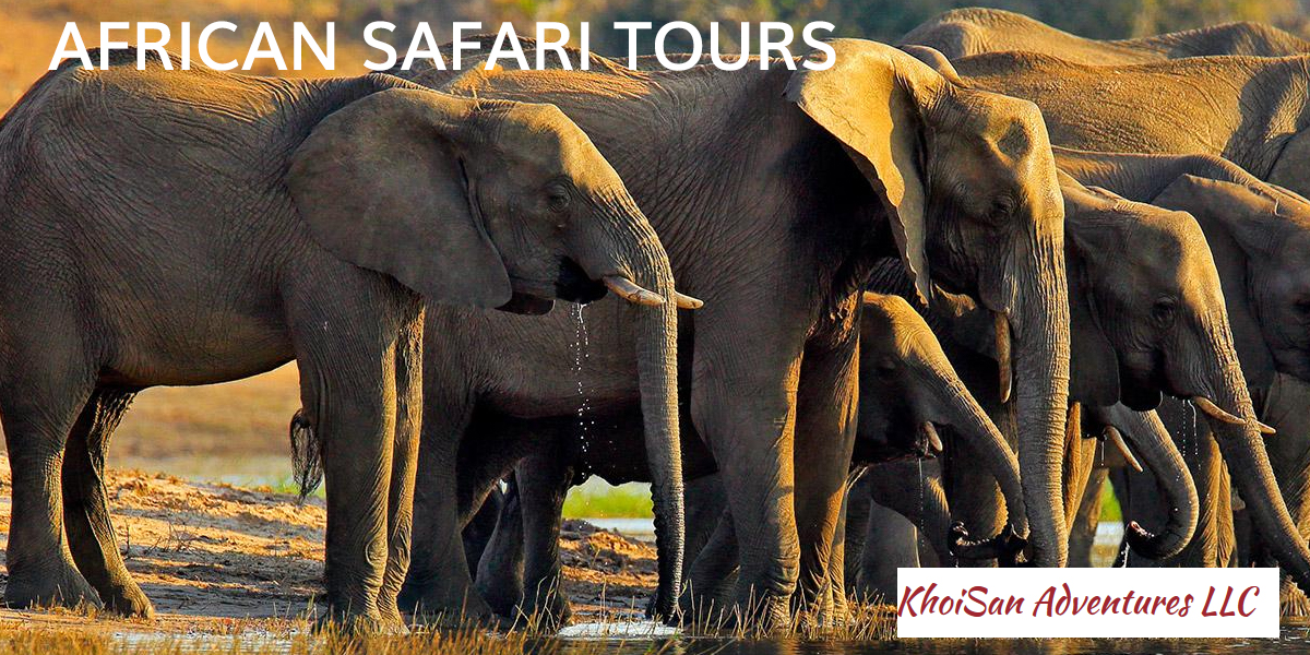 African Safari Tours
